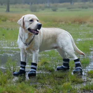 Outdoor Waterproof Warm Durable Reflective Dog Boots